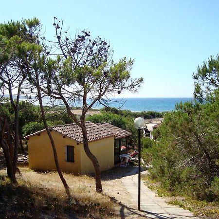 Camping Golfo Dell'Asinara Platamona Eksteriør billede
