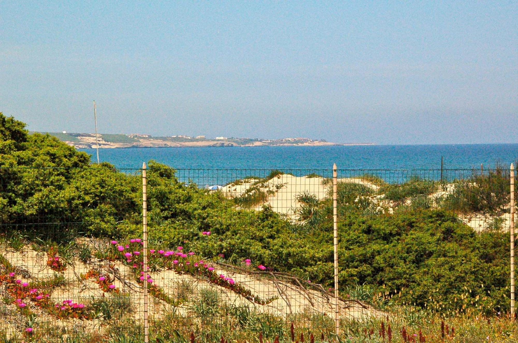 Camping Golfo Dell'Asinara Platamona Eksteriør billede