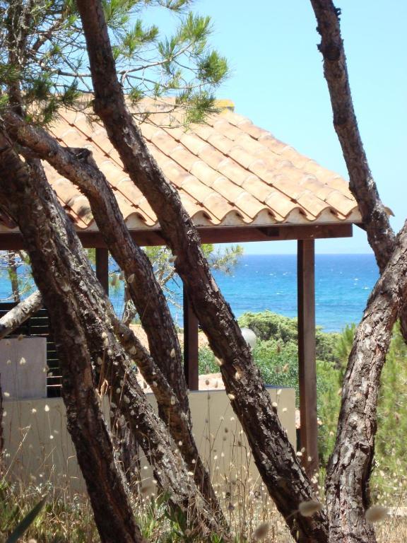 Camping Golfo Dell'Asinara Platamona Værelse billede