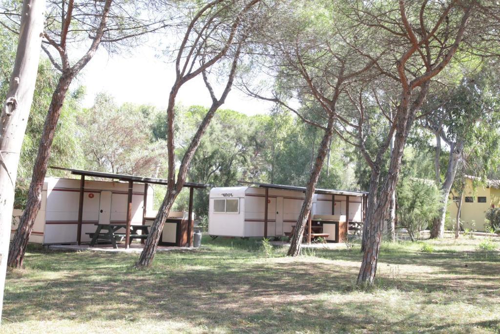 Camping Golfo Dell'Asinara Platamona Værelse billede