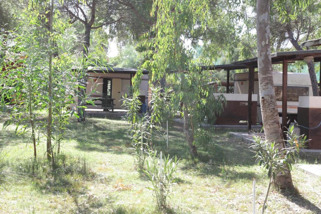 Camping Golfo Dell'Asinara Platamona Værelse billede